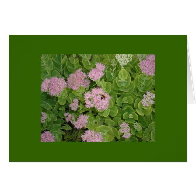 bumble bee card (Devant Horizontal)