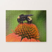 Bumble Bee Close Up sur Orange Flower Puzzle (Horizontal)