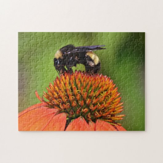 Bumble Bee Close Up sur Orange Flower Puzzle (Horizontal)