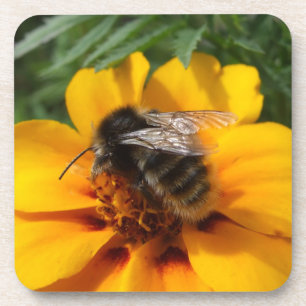 Bumble Bee Dessous de verre