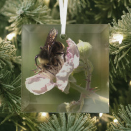 Bumble Bee die stuifmeel verzamelt Glass Ornament