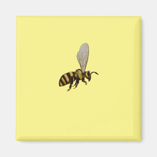 Bumble Bee Fridge Magnet Magneet