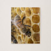 Bumble Bee Inside Honeycomb Jigsaw Puzzle (Vertical)