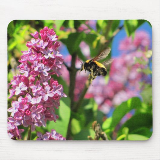Bumble Bee Landng op Lilacs Muismat (Voorkant)