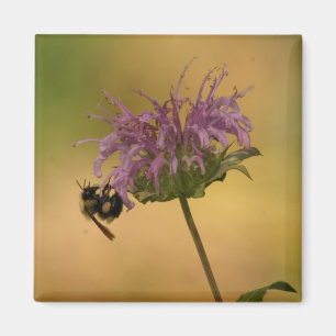Bumble Bee Magneet