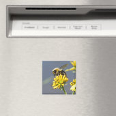 Bumble Bee Magnet (In Situ (Lave-vaisselle))