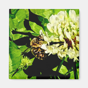 Bumble Bee Magnet