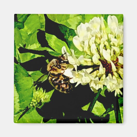Bumble Bee Magnet Magneet (Voorkant)