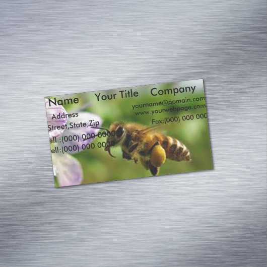 Bumble Bee magnets Cartes de visite (In Situ)