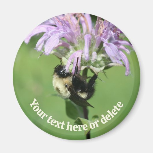 Bumble Bee On Bee Balm Flower Personalized Magneet (Voorkant)