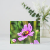 Bumble Bee. on Pink Cosmos Briefkaart (Staand voorkant)