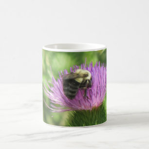 Bumble bee on Thistle Mok