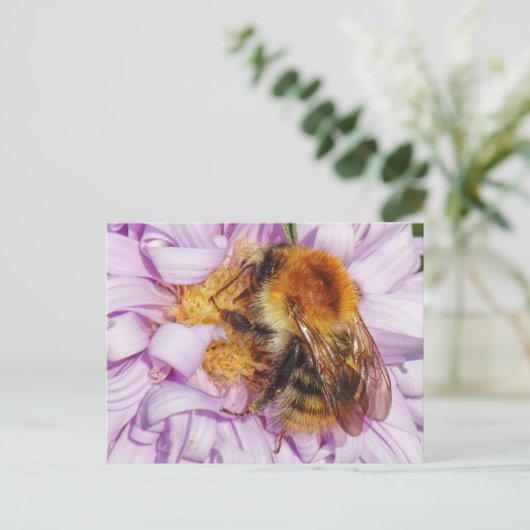 Bumble Bee op een Michaelmas Daisy-Briefkaart Briefkaart (Staand voorkant)