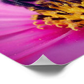 Bumble bee op kosmos poster (Hoek)