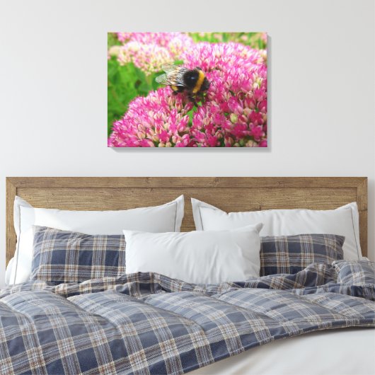 Bumble Bee op Sedum "Autumn Joy" Canvas Afdruk (Insitu (Slaapkamer))
