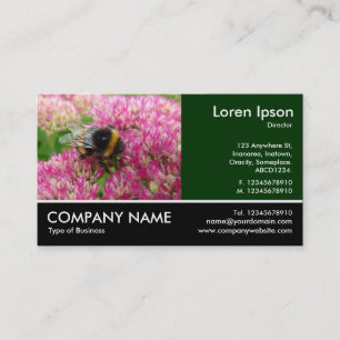 Bumble Bee op sedum Visitekaartje