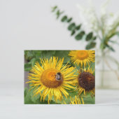 Bumble Bee op Yellow Daisy Briefkaart (Staand voorkant)