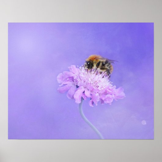 Bumble Bee Perst op een Paarse ventilator Poster (Voorkant)