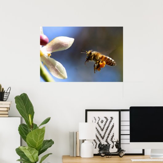 Bumble Bee pollen poster (Thuiskantoor)