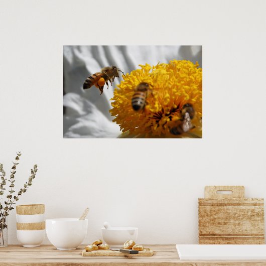 Bumble Bee pollen poster (Cuisine)