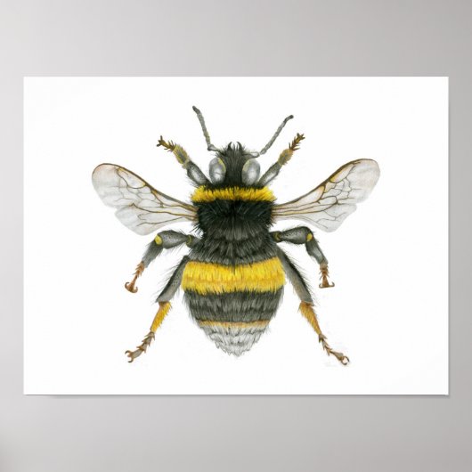 Bumble Bee Poster Imprimer (Devant)
