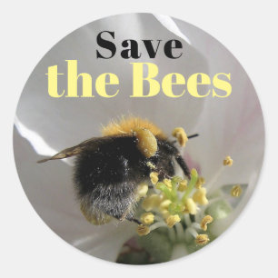 Bumble Bee Save the Bees Ronde Sticker