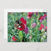 Bumble Bee/Snapdragon Briefkaart (Voorkant / Achterkant)