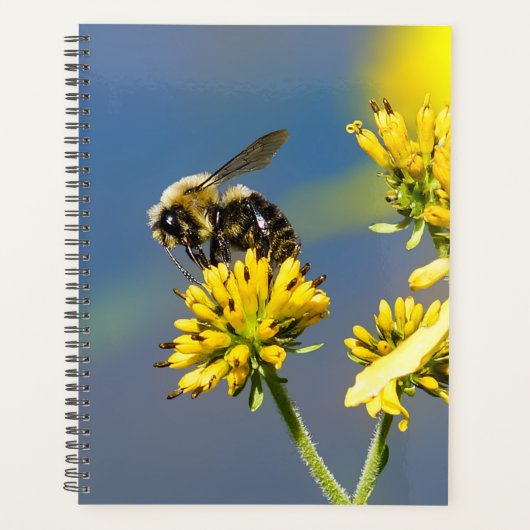Bumble Bee Spiral Planificateur hebdomadaire/mensu (Devant)