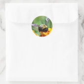 Bumble Bee Stickers (Sac)