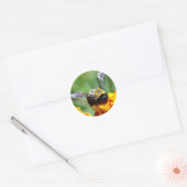 Bumble Bee Stickers (Enveloppe)