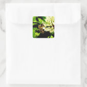 Bumble Bee Stickers (Sac)