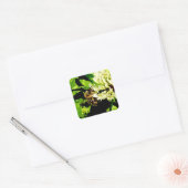 Bumble Bee Stickers (Enveloppe)