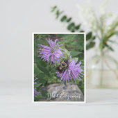 Bumble Bee Sur La Carte Postale Wild Bergamot (Debout devant)