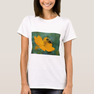 Bumble bee verzamelt pollen op een Oranje kosmos. T-shirt