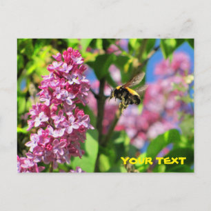 Bumble Bee zweeft boven Lilacs Briefkaart