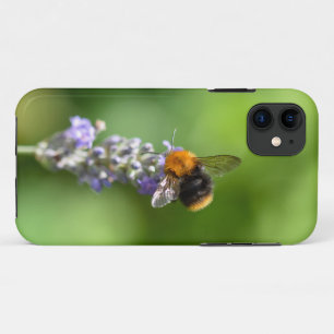 Bumble bei on Lavender iPhone 11 Hoesje