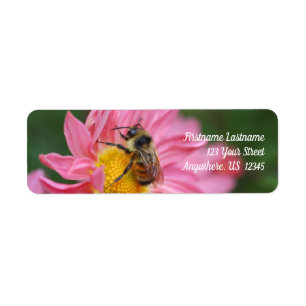 Bumble bei on roze Daisy Flower Natuur address Etiket