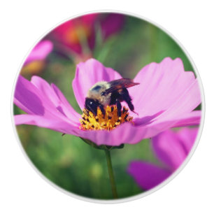 Bumble bei on roze kosmos keramische knop