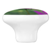 Bumble bei on roze kosmos keramische knop (Zijkant)