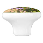 Bumble bek op Paarse ventilator dicht Keramische Knop (Zijkant)