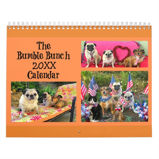 Bumble Bunch 2019 Calendar Kalender (Hoes)