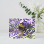 Bumblebebe sur carte postale Lavender (Debout devant)