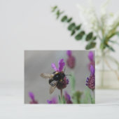 Bumblebebe sur la carte postale lavande (Debout devant)