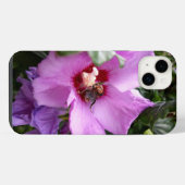 Bumblebebe sur la fleur d'Hibiscus (Verso Horizontal)
