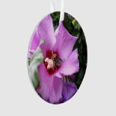 Bumblebebe sur la fleur d'Hibiscus (devant)