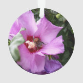 Bumblebebe sur la fleur d'Hibiscus (dos)