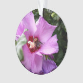 Bumblebebe sur la fleur d'Hibiscus (devant)