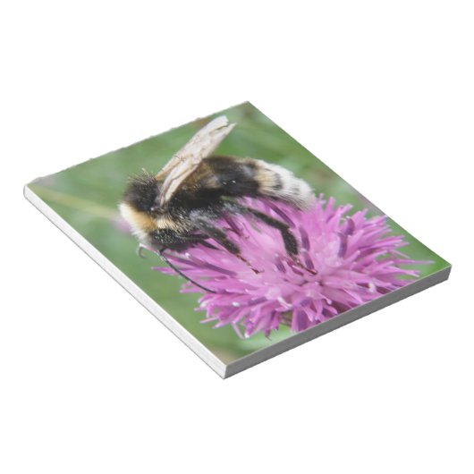 Bumblebebe sur un Bloc-notes de chardon (Incliné)