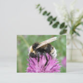Bumblebebe sur une carte postale de chardon (Debout devant)