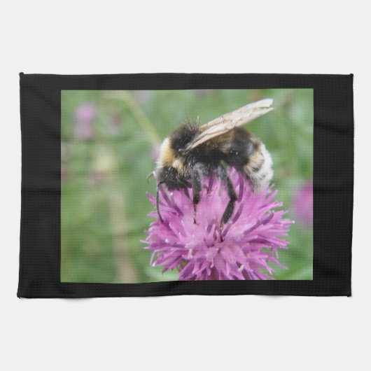 Bumblebebe sur une serviette de cuisine (Horizontal)